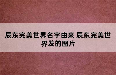 辰东完美世界名字由来 辰东完美世界发的图片